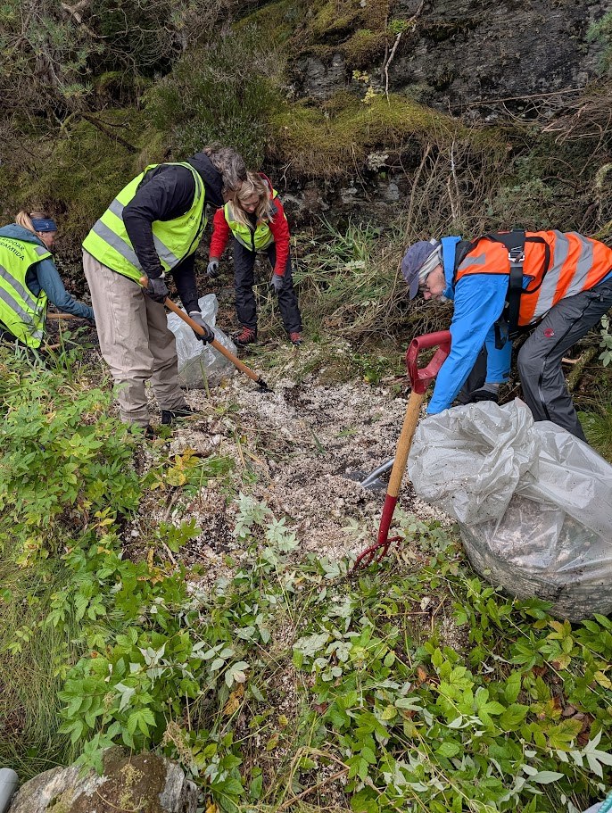 Frivillige i refleksvester rydder isoporkuler som ligger som et hvitt teppe mellom planter og stein i Sill i Hardangerfjorden.